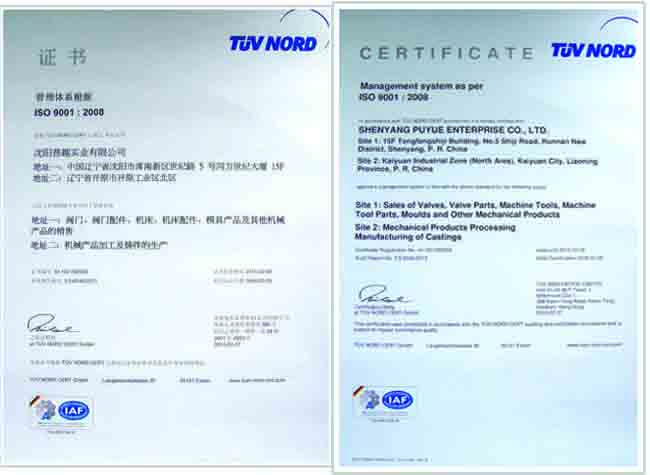 Authentication Certificate of Branch Companies